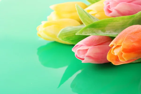 Много красочных тюльпанов на цветном фоне — стоковое фото