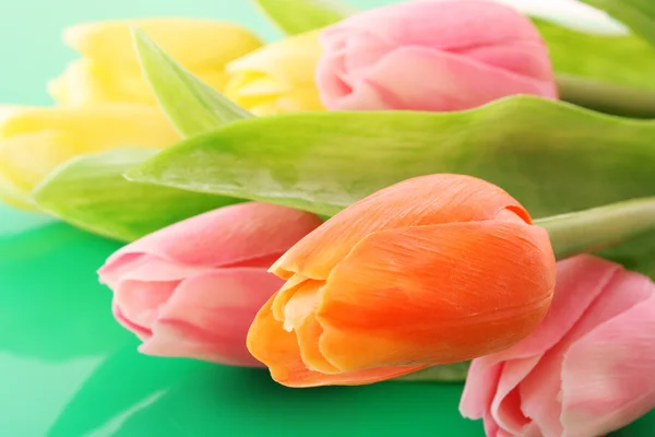 Många färgglada tulpaner i färg bakgrunden — 图库照片