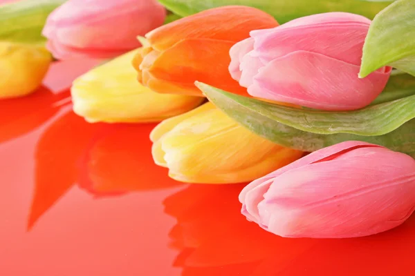 Beaucoup de tulipes colorées sur le fond de couleur — Photo