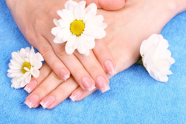 Hermosas manos de mujer y flor —  Fotos de Stock