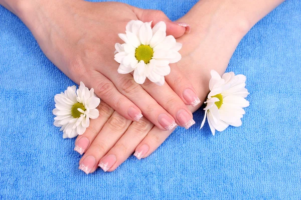 Beautiful woman 's hands and flower — стоковое фото