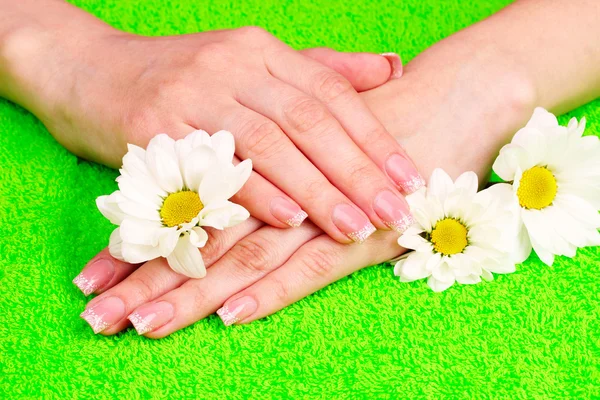 Hermosas manos de mujer y flor — Foto de Stock