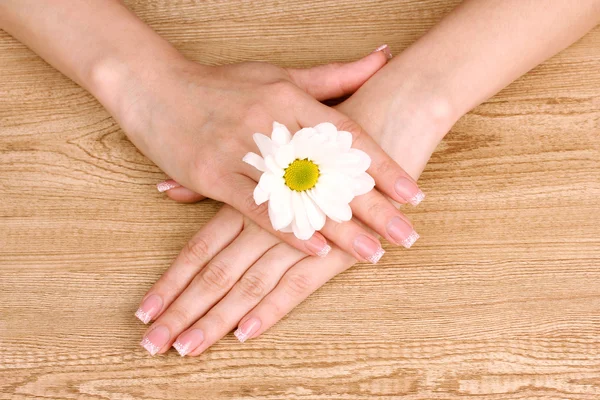 Hermosas manos de mujer y flor — Foto de Stock
