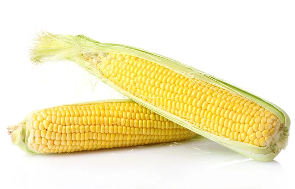 Friss kukorica fehér háttér — Stock Fotó