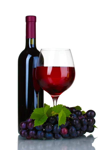 Ώριμα σταφύλια, ποτήρι κρασί και μπουκάλι κρασί — Φωτογραφία Αρχείου