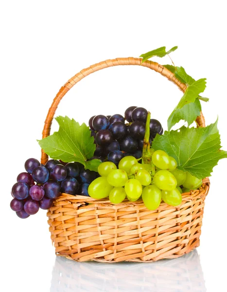 Uvas vermelhas maduras em cesto — Fotografia de Stock
