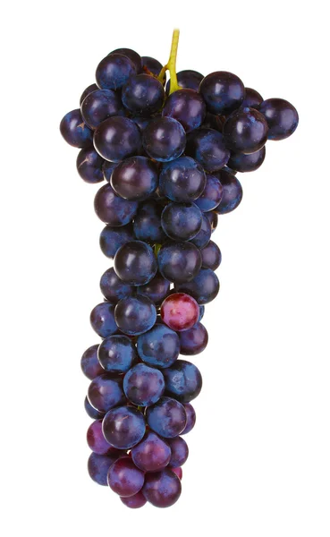 熟した赤いブドウ — ストック写真