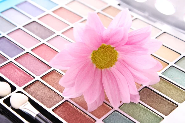Big eye shadow kit and pink flower — Stock Photo, Image
