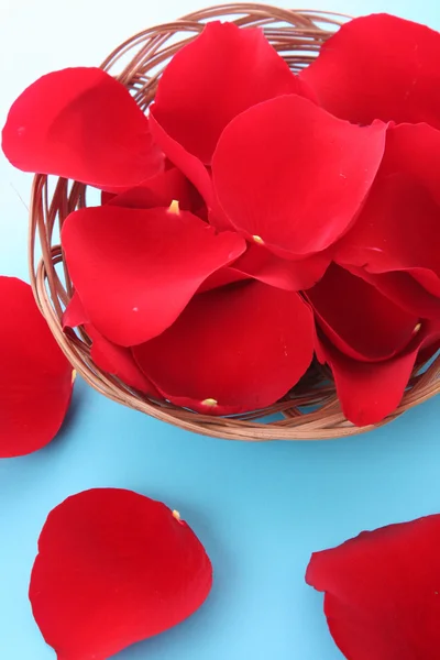 Basket with red roses petals on blue — Stock Photo, Image