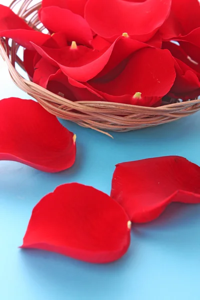 Košíček s okvětními lístky červené růže na modré — Stock fotografie
