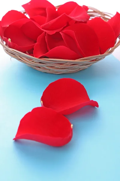 Basket with red roses petals on blue — Stock Photo, Image