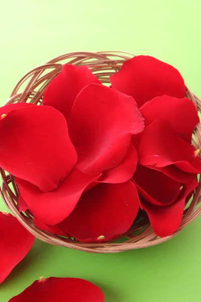 Košíček s okvětními lístky červené růže na zeleném — Stock fotografie