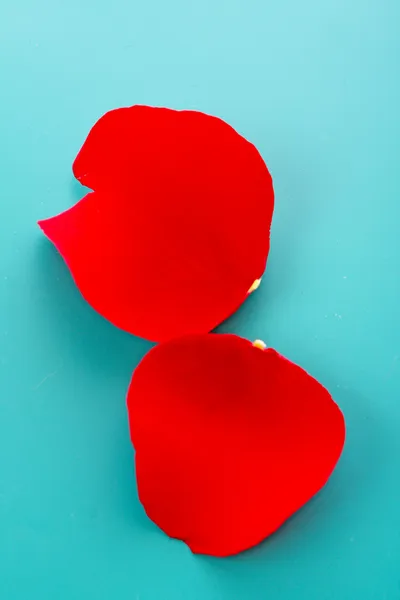 Rote Rosenblätter auf blauem Hintergrund — Stockfoto