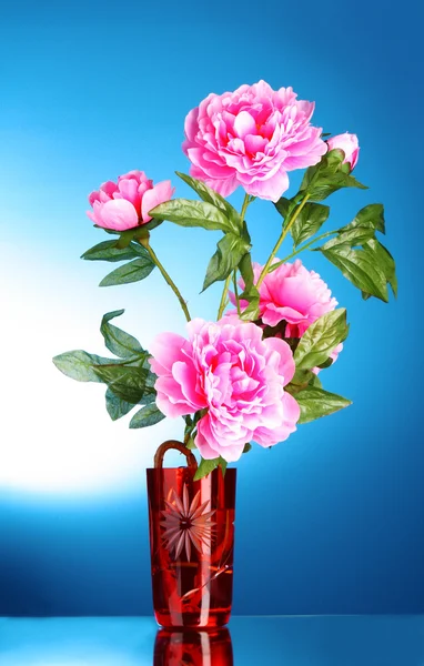 Vazodaki pembe çiçekler. — Stok fotoğraf
