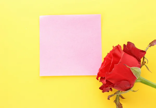 Día de San Valentín rosa roja y espacio vacío para el texto —  Fotos de Stock
