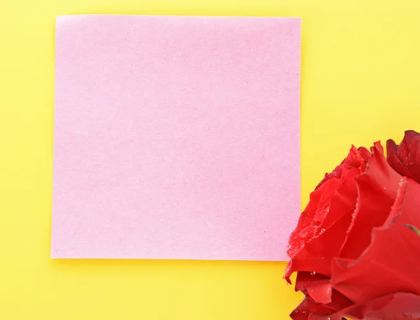 Valentinstag rote Rose und leerer Raum für Text — Stockfoto