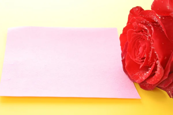 День святого Валентина красная роза и пустое место для текста — стоковое фото