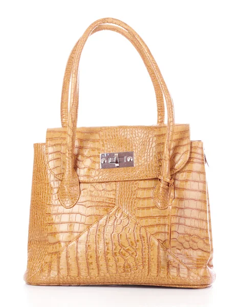 Elegant Bag — Stock Photo, Image