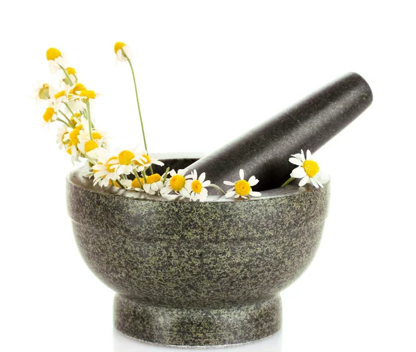 Chamomile flowers in mortar — Stock Photo, Image