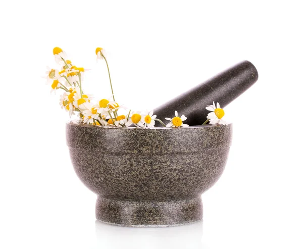 stock image Chamomile flowers in a mortar isolated on white