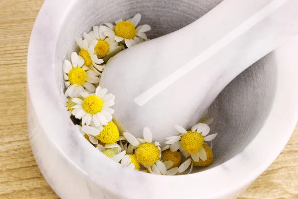 Flores de camomila em argamassa — Fotografia de Stock
