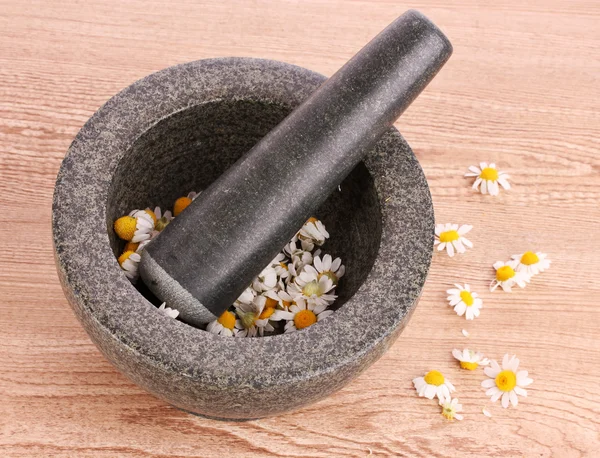 Chamomile flowers in a mortar — Stock Photo, Image