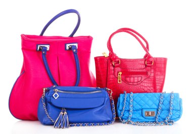 Handbags isolated clipart