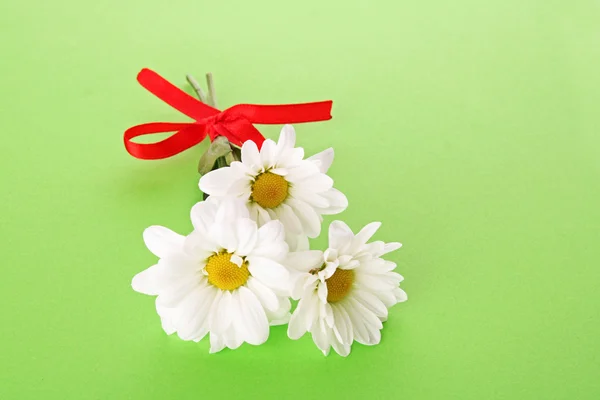 녹색 배경에 흰색 카밀레 꽃다발 — 스톡 사진