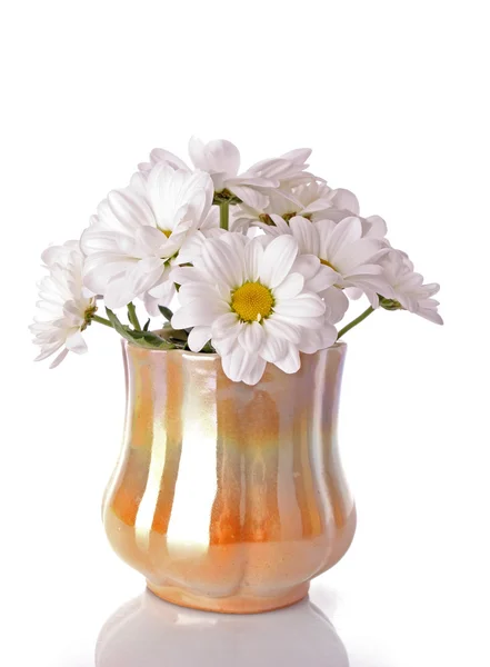 Bouquet in piccolo vaso su sfondo bianco — Foto Stock