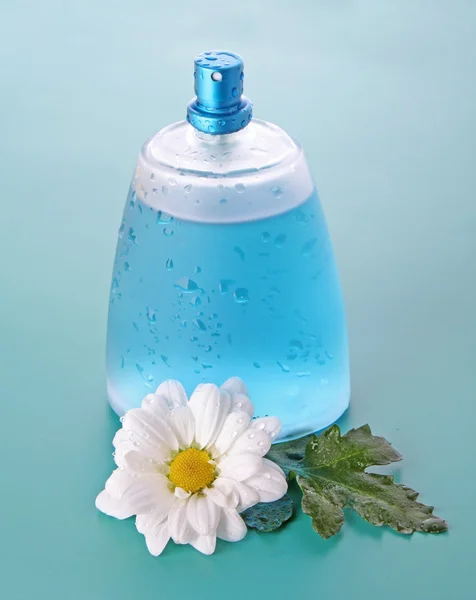 Бутылка духов и ромашки на синем фоне — стоковое фото