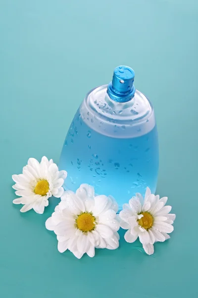 Butelka perfum i rumianku na niebieskim tle — Zdjęcie stockowe