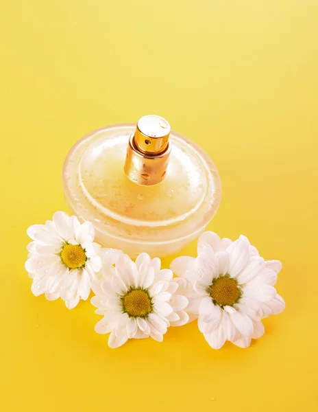 Láhev parfémy a Heřmánek na žlutém podkladu — Stock fotografie