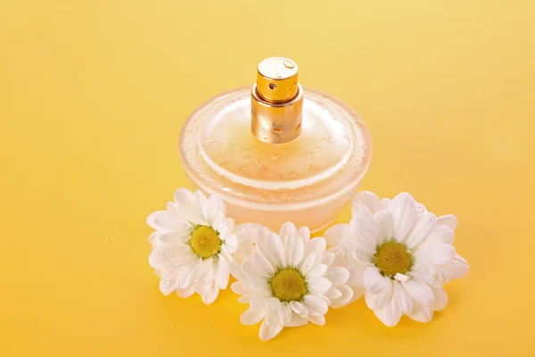 香水、黄色の背景にカモミールのボトル — ストック写真