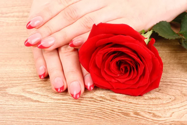 Frauenhände mit roter Maniküre und roter Rose — Stockfoto
