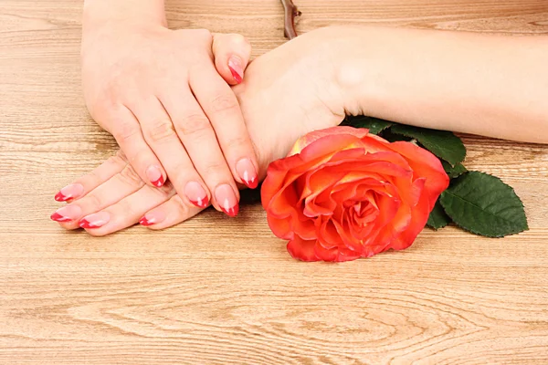 Mãos de mulher com manicure francês vermelho e rosa vermelha — Fotografia de Stock