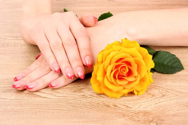 Manos de mujer con manicura francesa roja y flor amarilla — Foto de Stock
