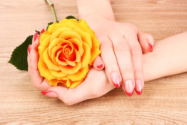Красиві жіночі руки і помаранчева троянда — стокове фото