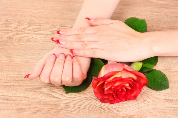 Mãos de mulher com manicure francês vermelho e rosa vermelha — Fotografia de Stock