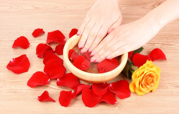 stock image Hands in water with rose petals