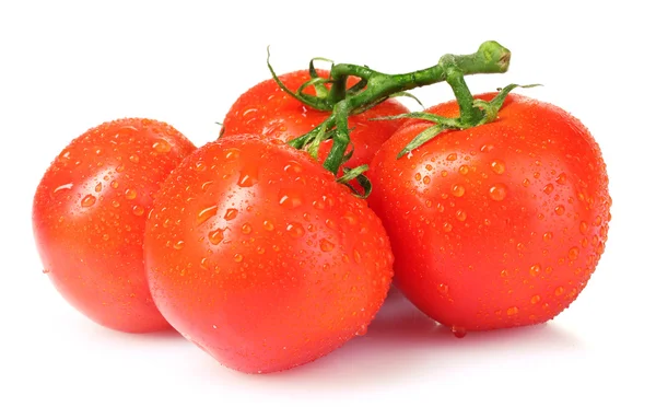 Φρέσκες ντομάτες — Φωτογραφία Αρχείου