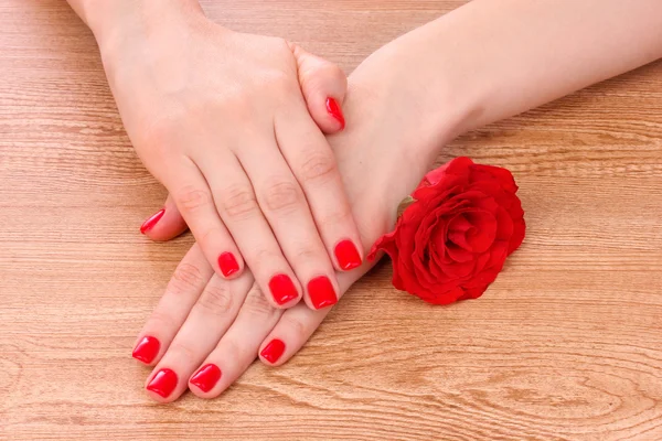 Gyönyörű női kezek és rose — Stock Fotó
