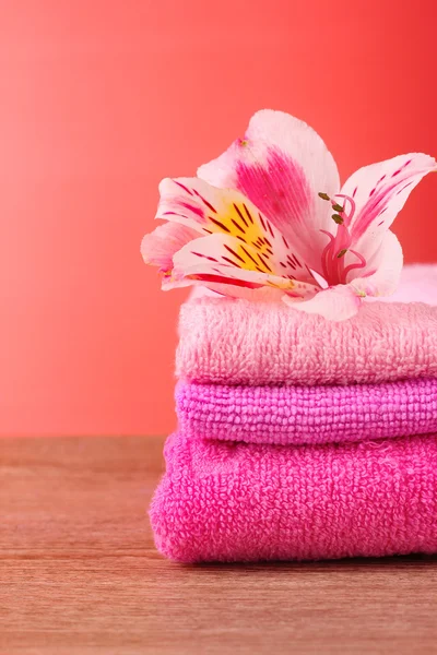 Bloem en handdoek — Stockfoto