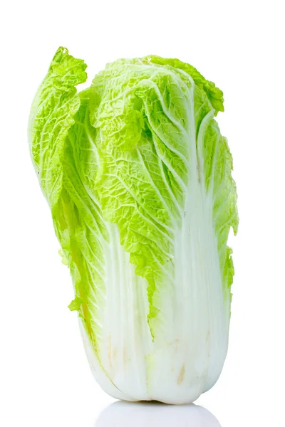 Tasty Chinese cabbage — Stock Photo, Image