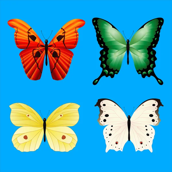 Mariposas coloridas — Archivo Imágenes Vectoriales