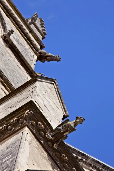 Gárgolas en la Catedral de San Pedro — Foto de Stock