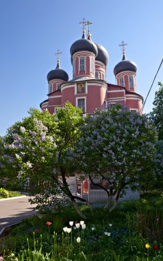 Donskoy monastery, Moscow clipart