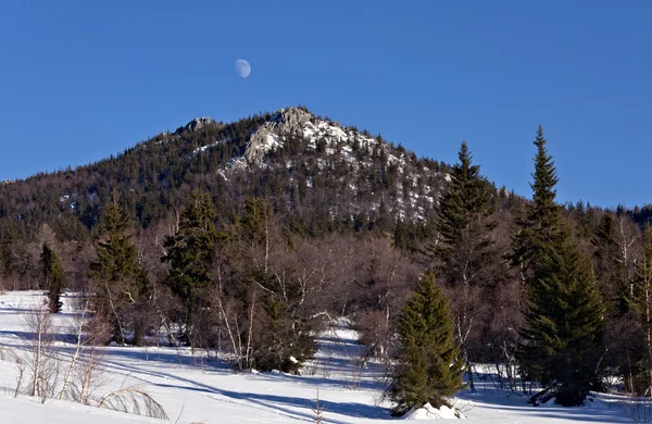 Moon ile kış manzarası — Stok fotoğraf