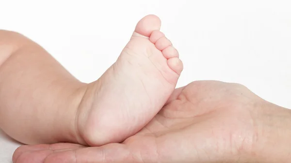 Baby fot i mor händer — Stockfoto