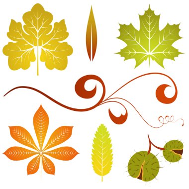 Autumn leaves clipart