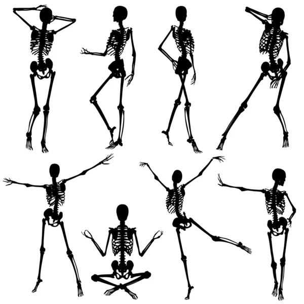 Собирать силуэты скелетов — стоковый вектор